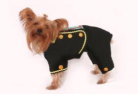 120607 Hardangerhund