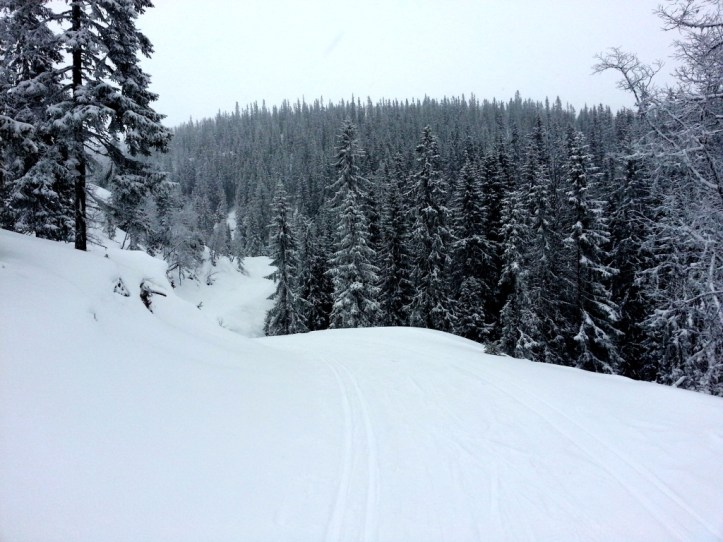 Ännu en av alla dessa bilder som är fullständigt ointressanta för alla utom den som tog den. Men vint var det.