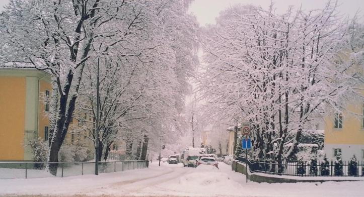 Ludd ludd ludd, överallt