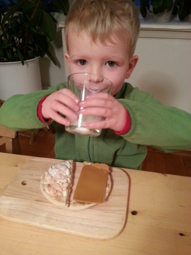 2013-02-22 En sann nordmann