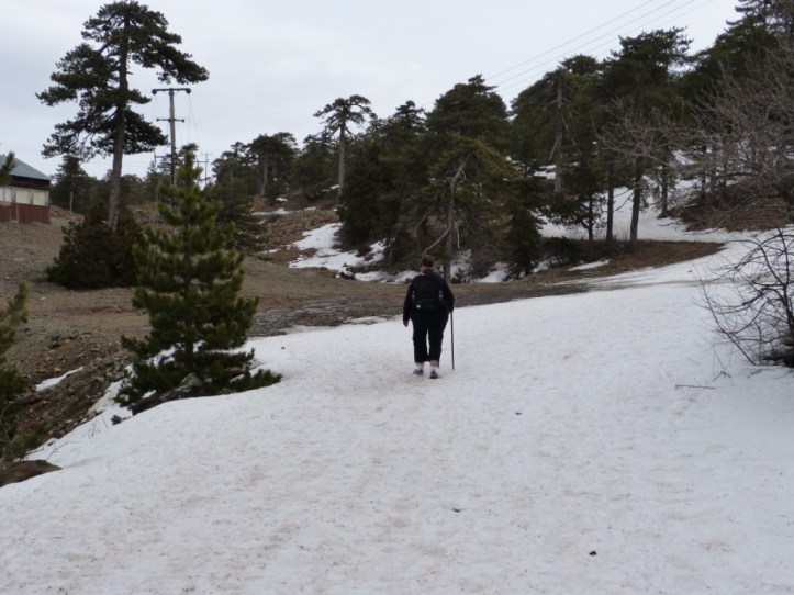 130312 P o S Artemis trail (13)