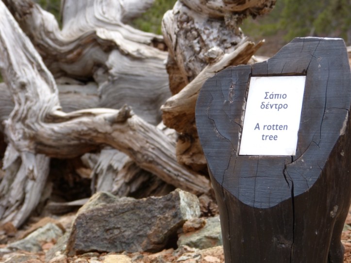 Beskrivande texter så man vet vad man ser längs Artemis Trail.