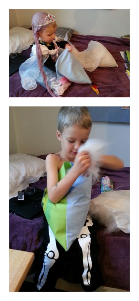 Vadd från en gammal kasserad kudde som har sparats för typiskt sådana här ändamål