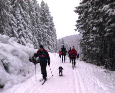 Väldigt dålig bild, men den är tagen med min gamla trotjänare HTC Desire HD och är mest för att visa hur fantastiskt mycket folk det faktiskt är i spåret en helt vanlig mulen söndag...