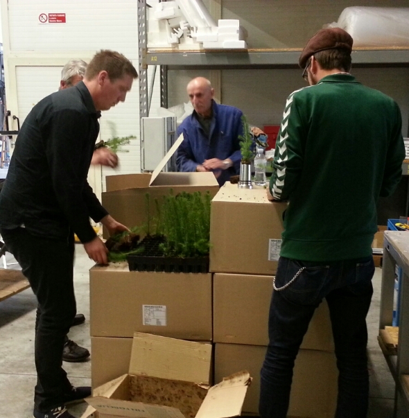 Sortering av planter.jpg image