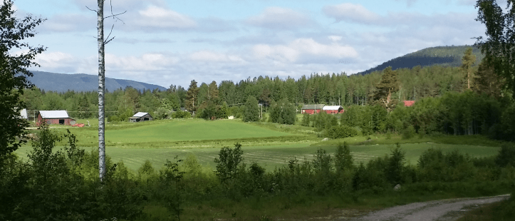 Drömmen om den svenska sommaren? Blå himmel, gröna åkrar i skogsbrynet, röda stugor... Vackert och rör vid något längst inne i själen. Jo det gör faktiskt det.