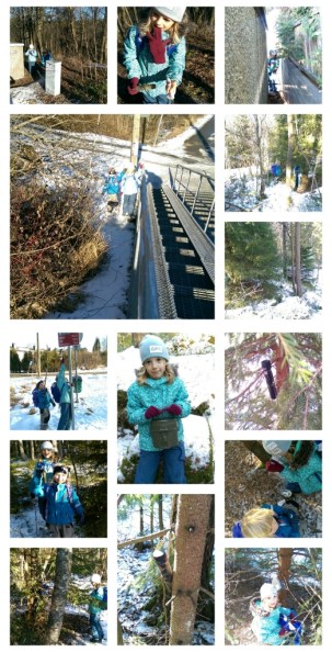 2016-02-28 Tur i Østmarka