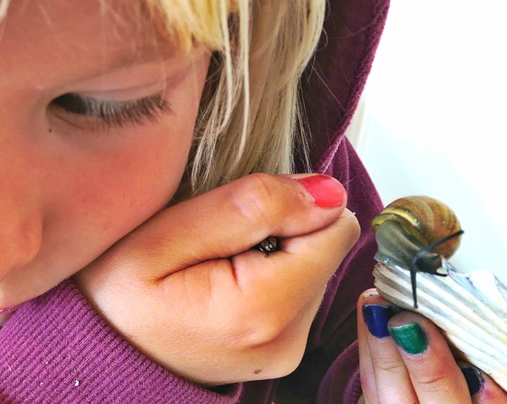 2016-07-11 Flugjägare