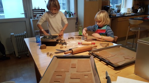 2016-12-30 12.11.39.jpg