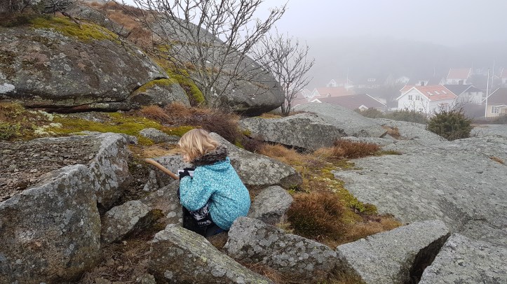 2017-02-26 10.47.02.jpg