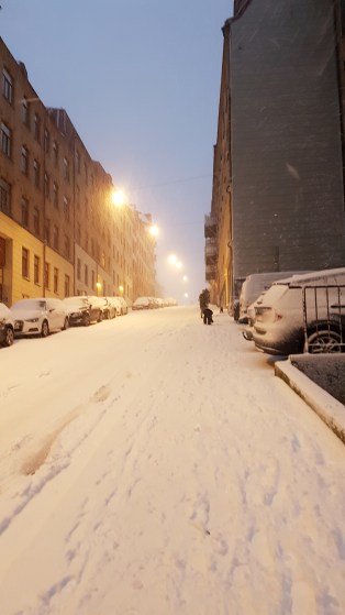 2017-11-22 07.51.57.jpg