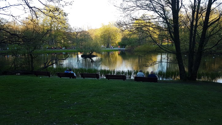 2018-05-07 19.42.03.jpg