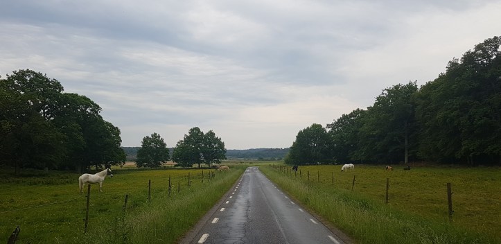 2018-05-29 Tofta Herrgård