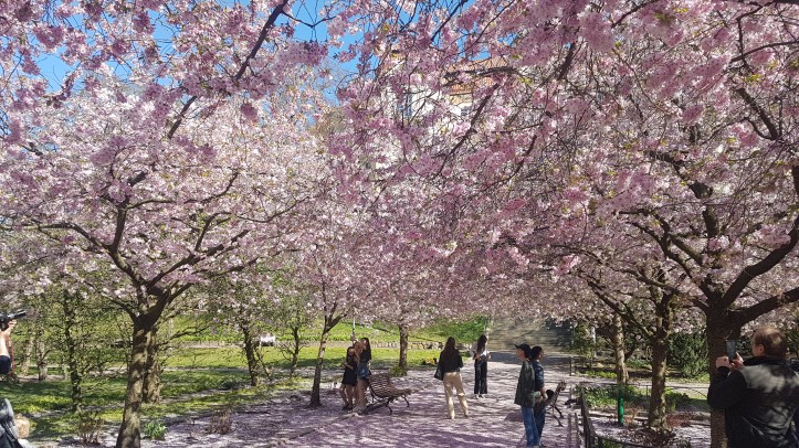 Seminarieparken, Göteborg